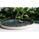 6 db Arando vegan lapostányér 21 cm