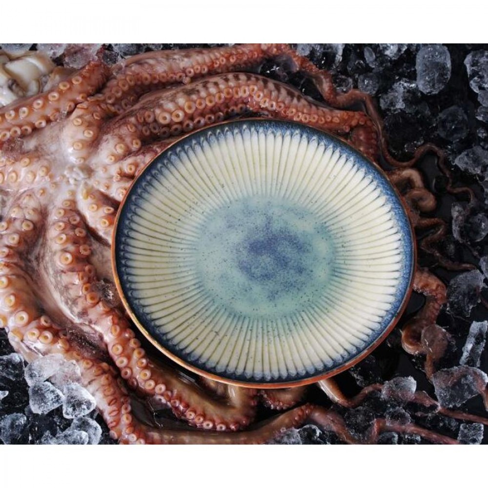 Galaxy lapos Svájci tányér 30 cm