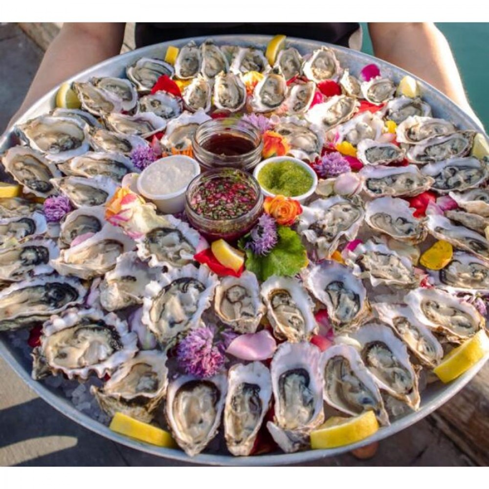 Osztrigavilla 13,5 cm