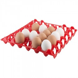 AMB HACCP kompatibilis tojástartó 30 db-os