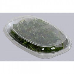 Cortina oválistál fedő, törhetetlen polikarbonátból, 24 x 14 cm