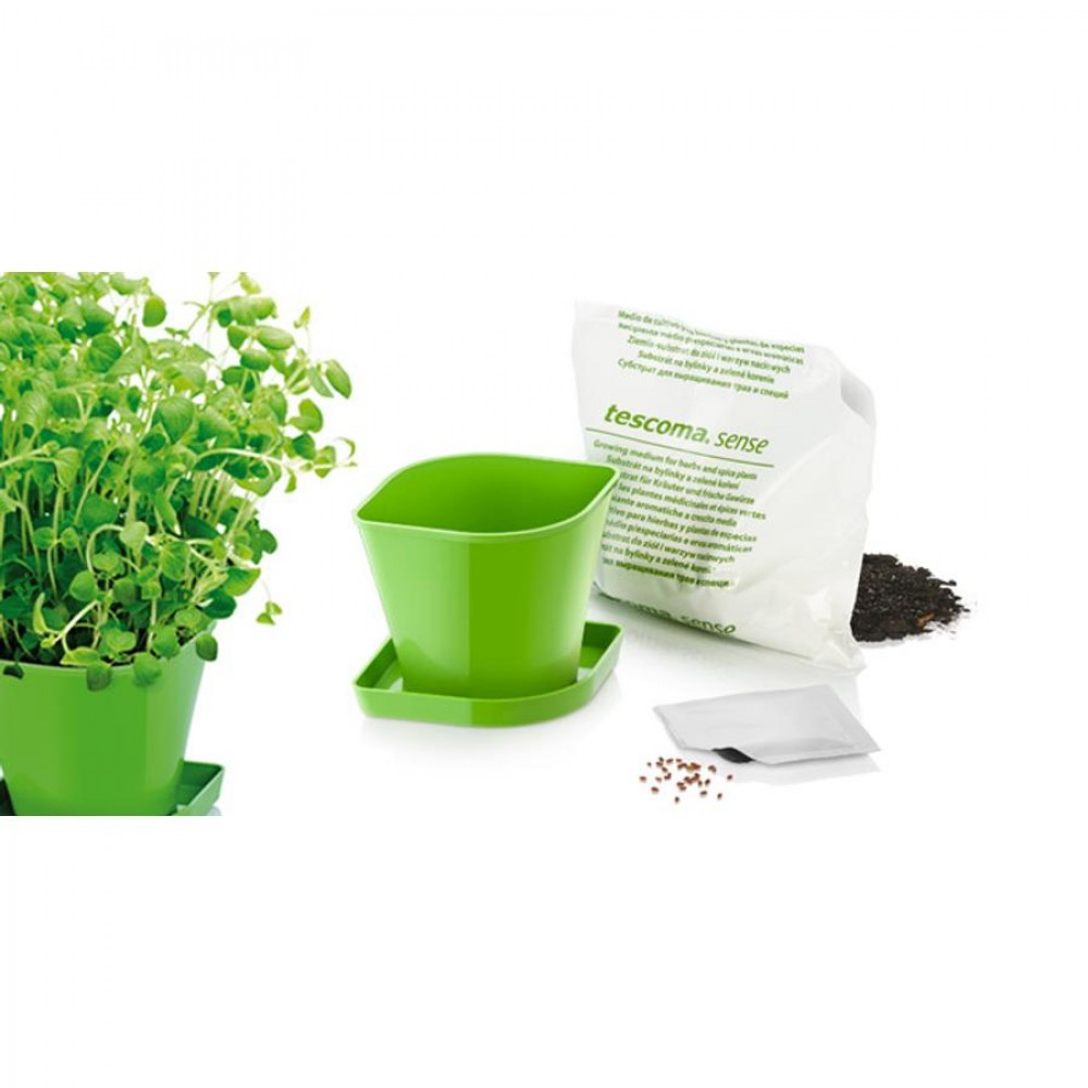 SENSE fűszernövény term.készlet, oregánó