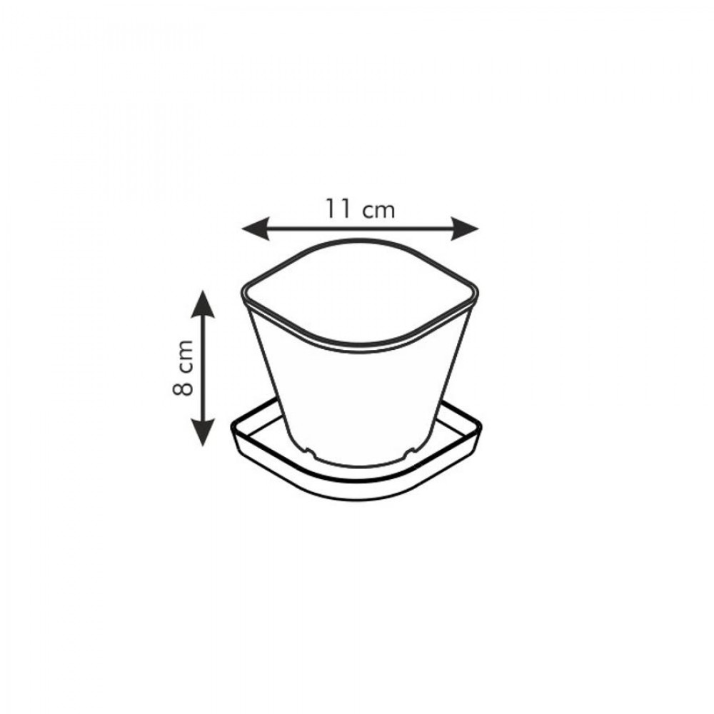 SENSE fűszernövény term.készlet, oregánó
